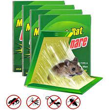 TRAMPA PEGAMENTO RATA